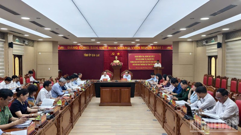 Thông qua dự thảo báo cáo kết quả giám sát đối với Ban Thường vụ Tỉnh ủy Gia Lai